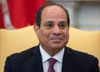FAIB hails president Sisi’s role in promoting co-operation between Egypt, African countries