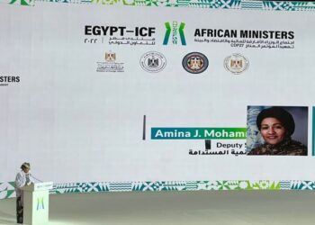 UN calls for localised climate solutions