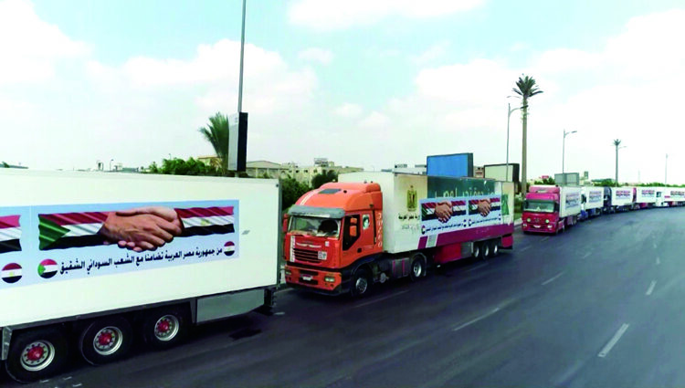 Medical aid sent to Sudan 1 - Egyptian Gazette