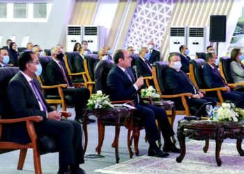 Sisi opens 2 investment zones in Banha, Meit Ghamr via video conference