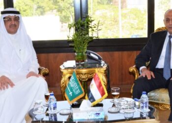 Egypt, Saudi Arabia discuss air aviation co-operation