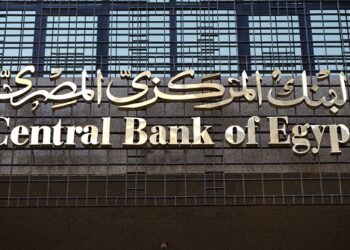 Egyptian economy strong, resilient, flexible before crises – Cabinet