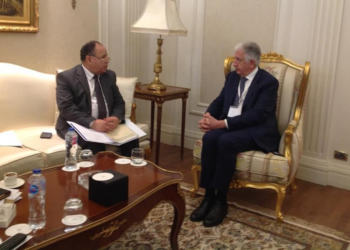 ‘Egypt opens its doors to local, foreign investments’