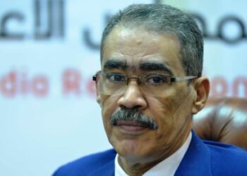 Egypt plays key role in preserving Arab interests amid global transitional phase: SIS head