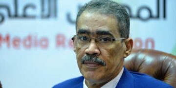 Egypt plays key role in preserving Arab interests amid global transitional phase: SIS head