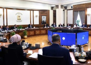 Cabinet regards building specialised port at Dabaa nuclear plant as national project