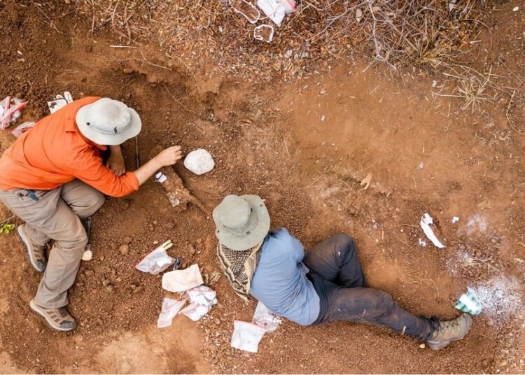 Dinosaurs' remains from the same era had previously been found only in South America and India.