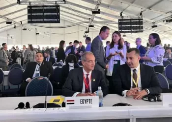 Egypt, South Korea eager to cement IT, communications ties   
