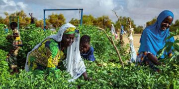 ‘Solutions lie in solidarity’ UN chief says on South-South Co-operation Day 1 - Egyptian Gazette ‘Solutions lie in solidarity’ UN chief says on South-South Co-operation Day