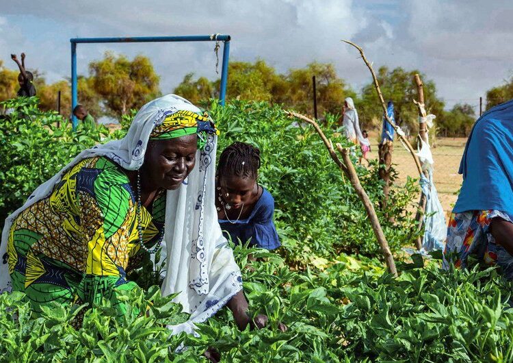 ‘Solutions lie in solidarity’ UN chief says on South-South Co-operation Day 1 - Egyptian Gazette