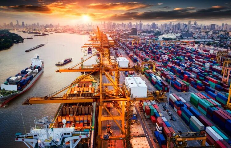 Gov't denies selling of Egyptian ports to foreign parties 2 - Egyptian Gazette Gov't denies selling of Egyptian ports to foreign parties 1 - Egyptian Gazette