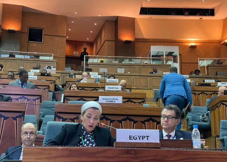 Egyptian Minister of Environment Yasmine Fouad during her participation in a banquet held by Senegalese Minister of Environment Abdou Karim Sall on the sidelines of the 18th session of the African Ministers of Environment Conference (AMCEN) in the Senegalese capital, Dakar.
