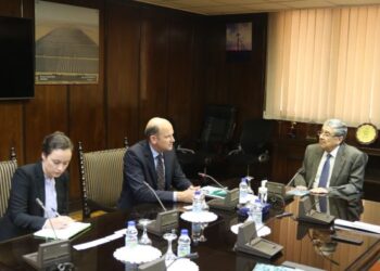 Egypt, Green Hydrogen Organization discuss cooperation in renewable energy
