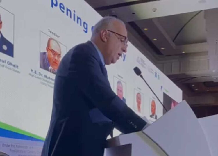 Irrigation min.: Many countries suffer from water shortage amid increasing population, climate changes 1 - Egyptian Gazette