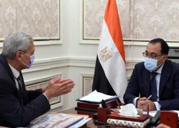 Madbouli asserts importance of resuming plans of UPA to meet medical needs, achieve integration with Africans