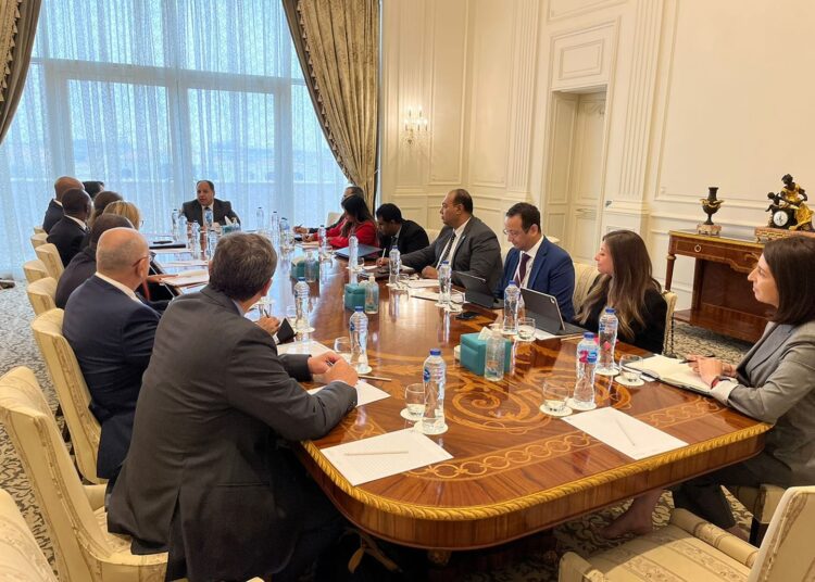 'Egypt seeks support of int'l partners to African visions related to finance, climate' 2 - Egyptian Gazette 'Egypt seeks support of int'l partners to African visions related to finance, climate' 1 - Egyptian Gazette