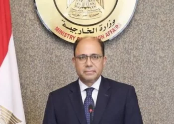 FM appoints amb. Ahmed Abo Zeid as Foreign Ministry spokesman