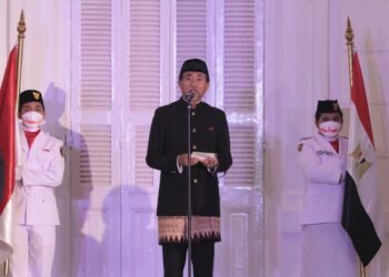 ‘Indonesia, Egypt play important roles in int’l arena’