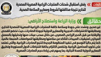 Cabinet denies rejection of exported Egyptian agricultural shipments