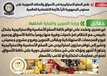 Gov’t denies claims on Egypt’s suffering from strategic commodities shortage