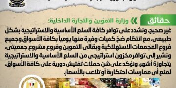 Gov’t denies claims on Egypt’s suffering from strategic commodities shortage