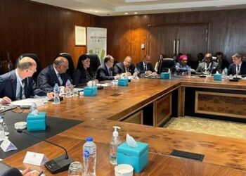 FM: Egypt backs co-operation among all parties to render climate action success