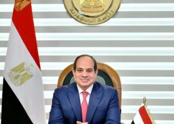 ‘President Sisi attaches prior attention to supporting talented, genius youth figures’