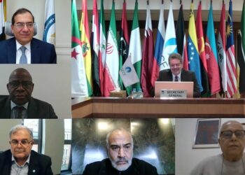 ‘Egypt leads efforts to prepare initiative on just transfer of energy to Africa’