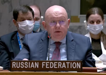 Sanctions prevent Russia from contributions to UN WFP, UNIDO