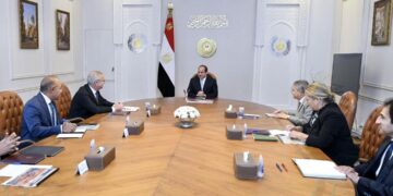 Sisi calls for setting up integrated  national network for green energy,  clean ship fuel production, supply