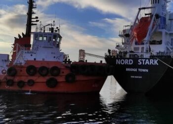 Nine more ships with grain leave Ukrainian ports