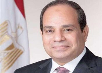 Sisi approves 750,000-dinar grant for Egypt-Sudan rail line project