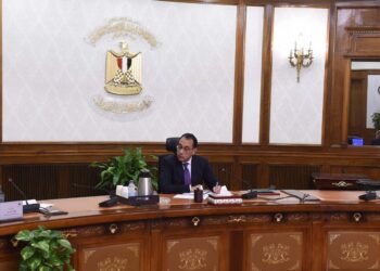 PM follows up national smart green project initiative