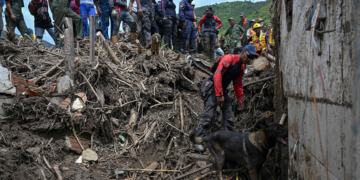 Death toll rises to 50 in Venezuela landslide