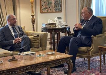 FM welcomes role of Friedrich Ebert Foundation in development projects in Egypt