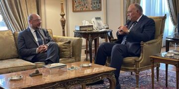 FM welcomes role of Friedrich Ebert Foundation in development projects in Egypt