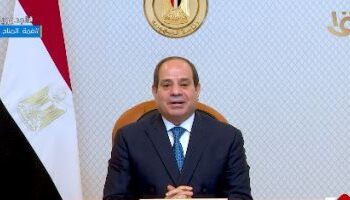 Sisi issues decrees on allocating state-owned lands 3 - Egyptian Gazette