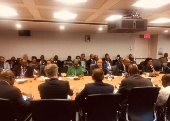 Maeet: Egypt proactive in response to Ukraine war, pandemic impacts