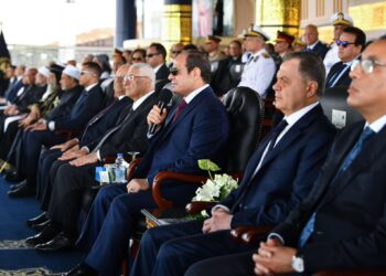 President Sisi: State will never forget families of its martyrs