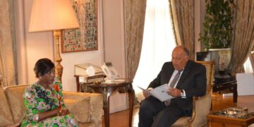 Sisi receives message from Congolese president