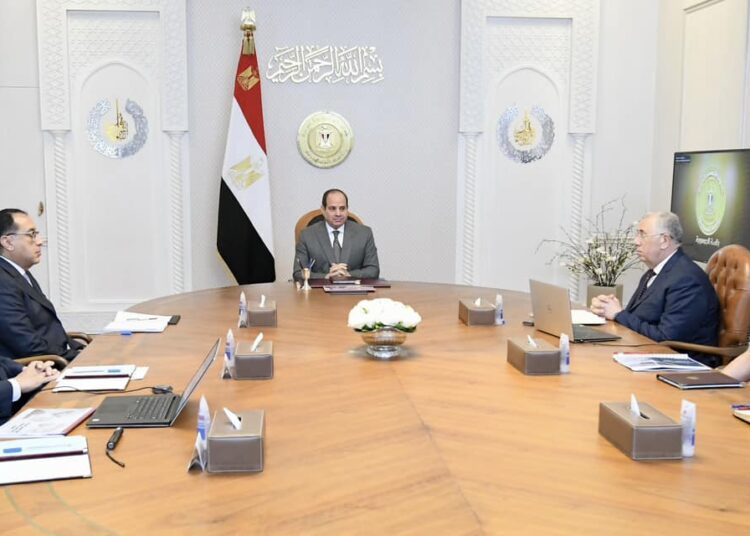 Sisi follows up gov't efforts to enhance national fertilizers' production system 2 - Egyptian Gazette Sisi follows up gov't efforts to enhance national fertilizers' production system 1 - Egyptian Gazette
