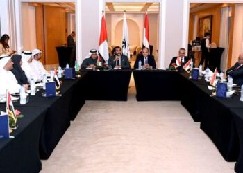 Egypt hopes for increasing participation of UAE companies in investments: Trade min.
