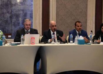 Egypt to lead Africa Ministerial Co-operative Council for 3 years