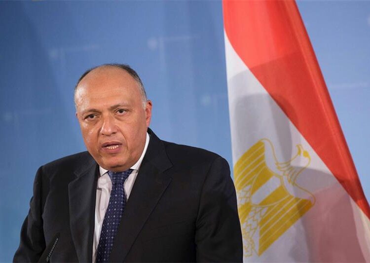 FM voices optimism about upcoming Arab summit in Algeria 1 - Egyptian Gazette