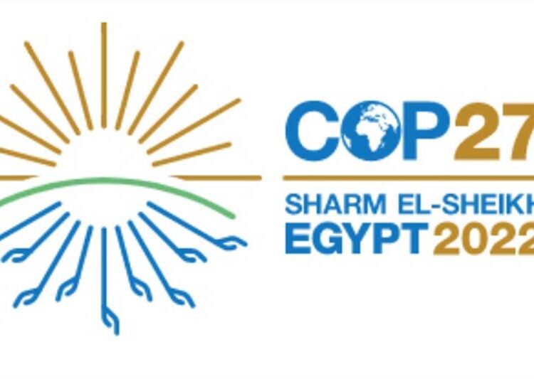 WB reiterates support to Egypt to render COP27 successful 1 - Egyptian Gazette