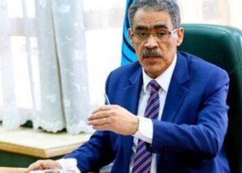 Rashwan: Egypt’s hosting of UN Climate Summit reflects world appreciation of Sisi’s efforts