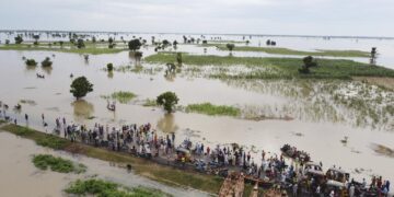 West Africa floods destroy crops, worsening hunger fears 1 - Egyptian Gazette West Africa floods destroy crops, worsening hunger fears