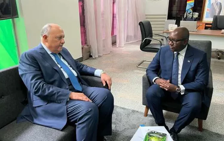 FM calls on COP27 participants to prioritize cooperation 1 - Egyptian Gazette