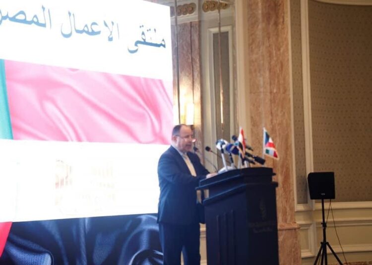 Egypt aspires to promote Kuwaiti investments: Finance min. 1 - Egyptian Gazette