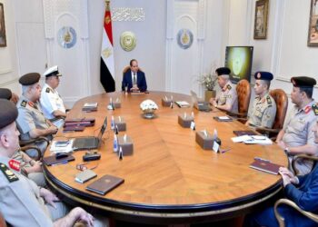Sisi urges action to establish, use national emergency grid